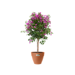 vibia campana round 55cm terra